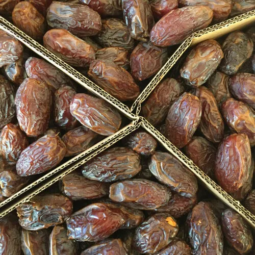 Medjool Dates 100g
