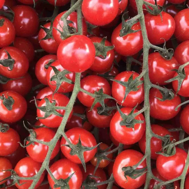 Cherry Tomatoes 125g