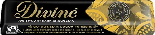 Divine 70% Dark Chocolate Bar 35g