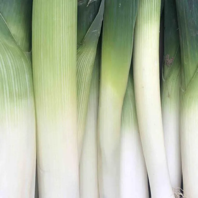 Leeks 500g