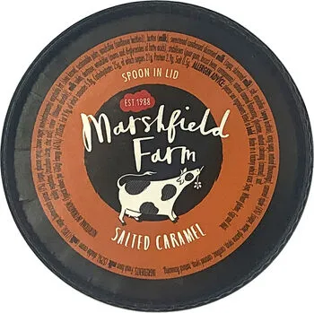 Marshfield Farm Salted Caramel Ice Cream 125ml