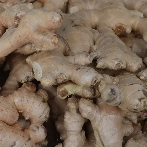 Organic Ginger 100g