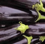 Aubergine x 1