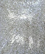 Alborio Rice 2kg