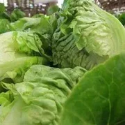 Baby Gem Salad pack of two