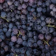 Black Grapes 500g