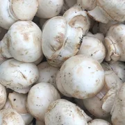 Button mushrooms 300g