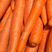 Carrots x 500g