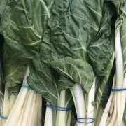 Chard x 1 bunch