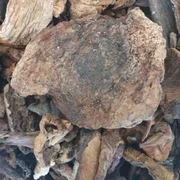 Dried Cep Mushroom 100g