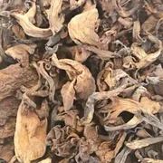 Dried Trumpette Mushroom 100g