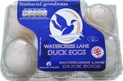 Duck eggs x 6