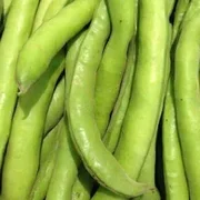 English Broad Bean 200g
