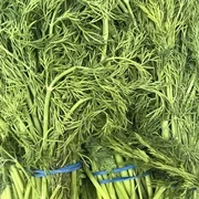 Fresh Dill 1 bunch