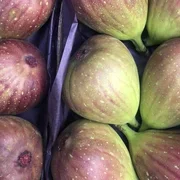 Fresh Figs x 3