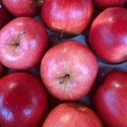 Gala Apples x 3