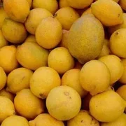 Lemons x 3