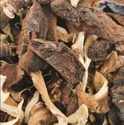 Mixed dried Mushroom 100g