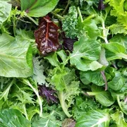 Mixed leaves 125g