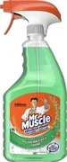 Mr Muscle Window & Glass Cleaner 750ml