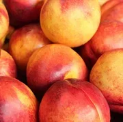 Nectarine x 1
