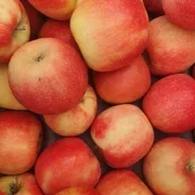 Organic Apples