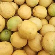 Organic Lemon unwaxed