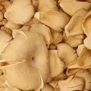 Oyster 200g