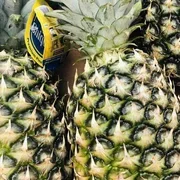 Pineapple x 1