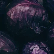 Purple Cabbage x 1