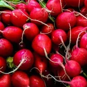 Radish 1 bunch