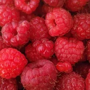 Raspberry tub