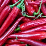 Red Chillies x 3