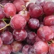 Red Grapes 500g