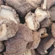 Shitake dried Mushroom 100g