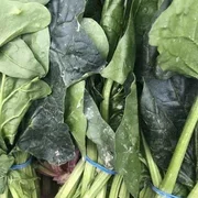 Spinach x 1 bunch