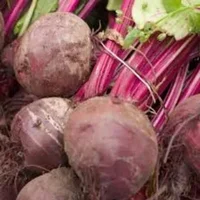 Beetroot with leaves x 1 bunch