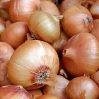 White Onion 500g