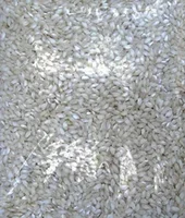 Alborio Rice 2kg
