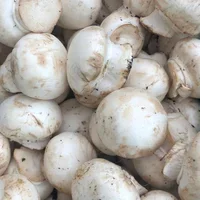 Button mushrooms 300g