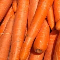Carrots x 500g
