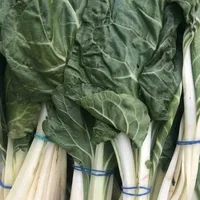 Chard x 1 bunch