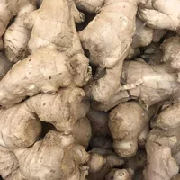 Fresh Ginger 100g