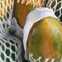 Papaya x 1