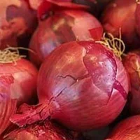 Red Onion 500g