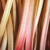 Rhubarb UK 500g