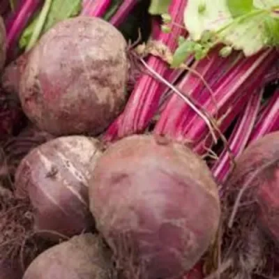 Beetroot with leaves x 1 bunch