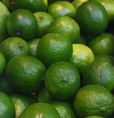 Limes x 4