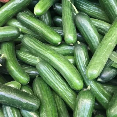 Mini Cucumber x 3
