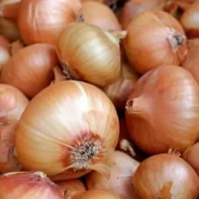 White Onion 500g